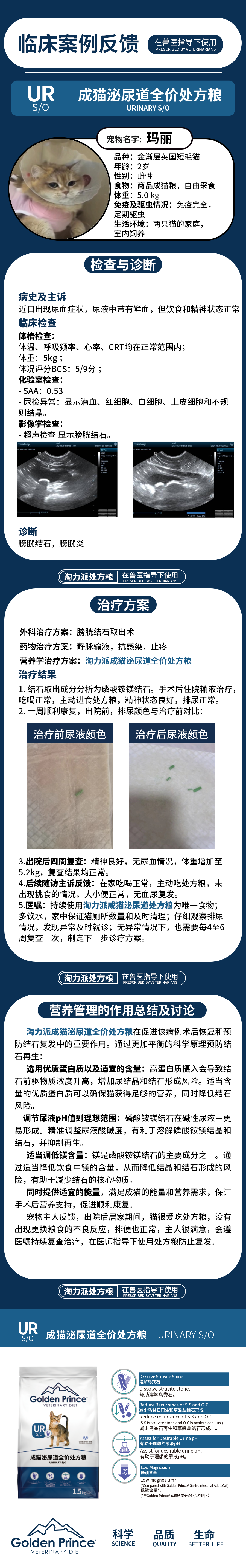猫膀胱结石的治疗和营养管理.png