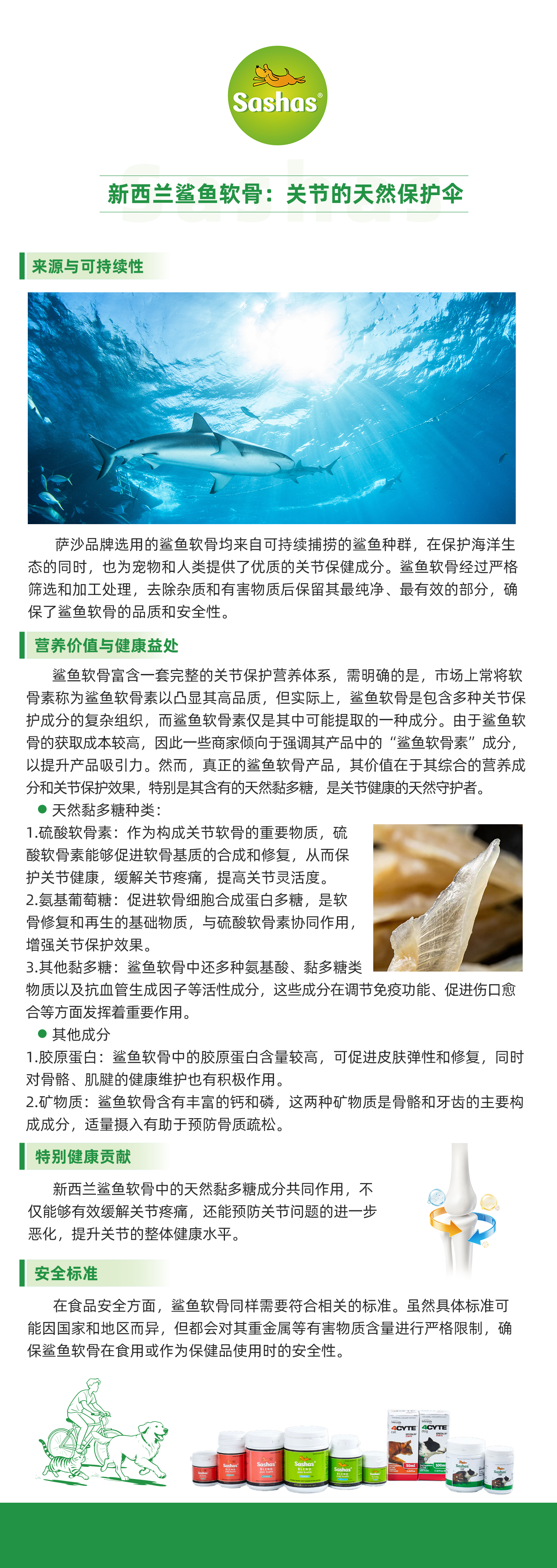 新西兰鲨鱼软骨：关节的天然保护伞.png